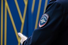 В отношении стрелявшего в собаку и ранившего девочку россиянина завели уголовное дело