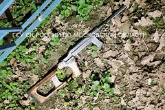 Попытка напугать шумную компанию во дворе закончилась смертельным выстрелом в женщину