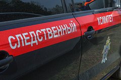 Российский пенсионер учинил расправу над родственницей и закопал ее в лесу