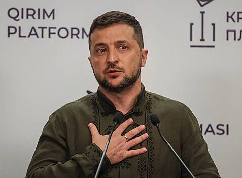 На Украине объяснили решение Зеленского заключить сделку с США